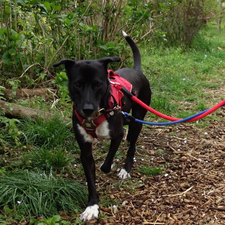 Be66a530 69d0 4c3d 9222 47f822dddfd9 1586652092300