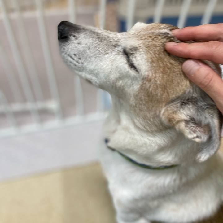 Be66e3b0 b27c 42e9 b8ff bbef82fb3eee 1662472259925