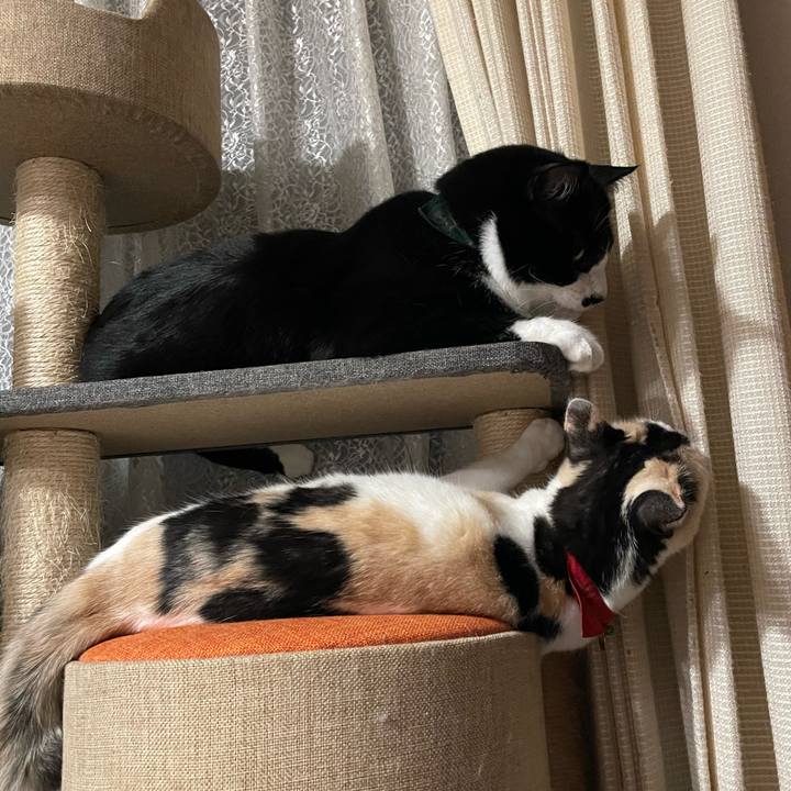 Be67454d de76 4042 88d4 1b2289e7f421 1716387145037