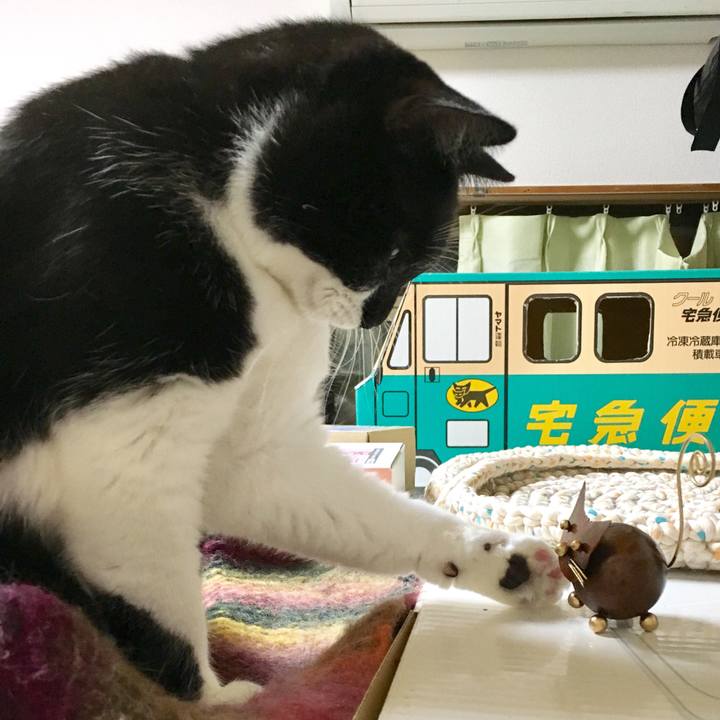 Be676ffa a04e 40fe a7c4 fb17a296ddfc 1509284383475