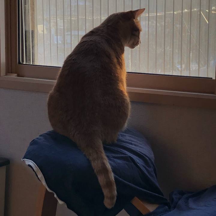 Be677b37 8fcc 4d34 9340 a3c8b2f96856 1648415355919