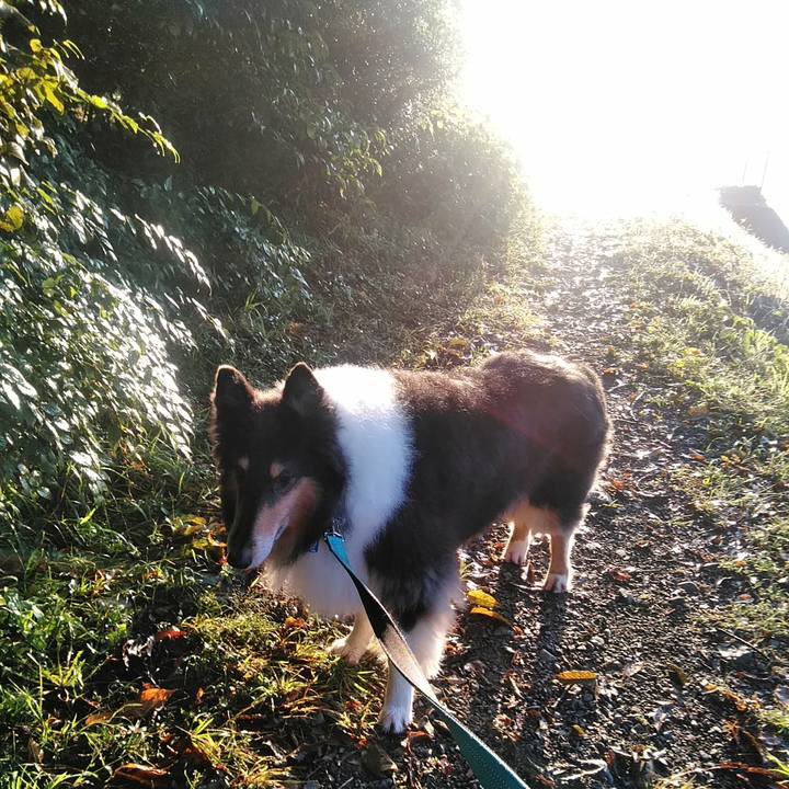 Be67a8ef a8f8 49cf ad63 b42b6d7f292b 1509021939795