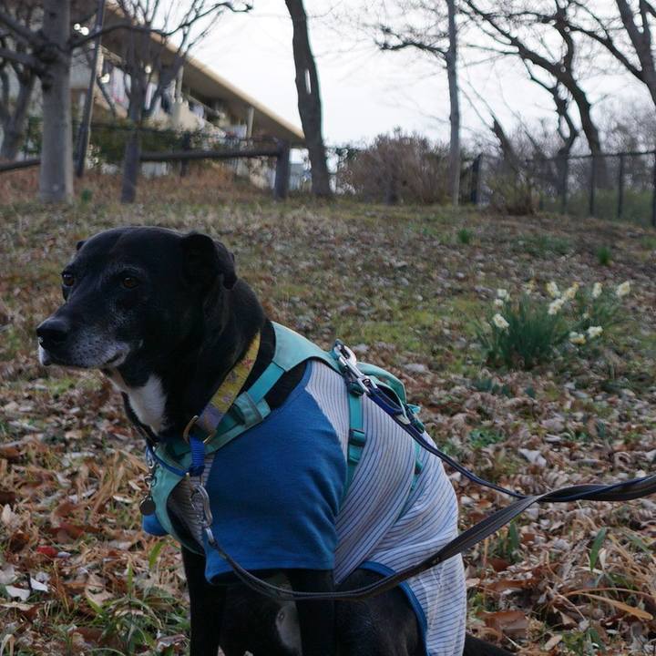 Be67af22 fe98 4c10 9783 cd295f7fc1a6 1772152232710