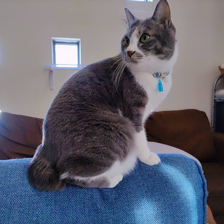 Be67c092 01f2 400a b12f b7ab053929bd 1678775033065