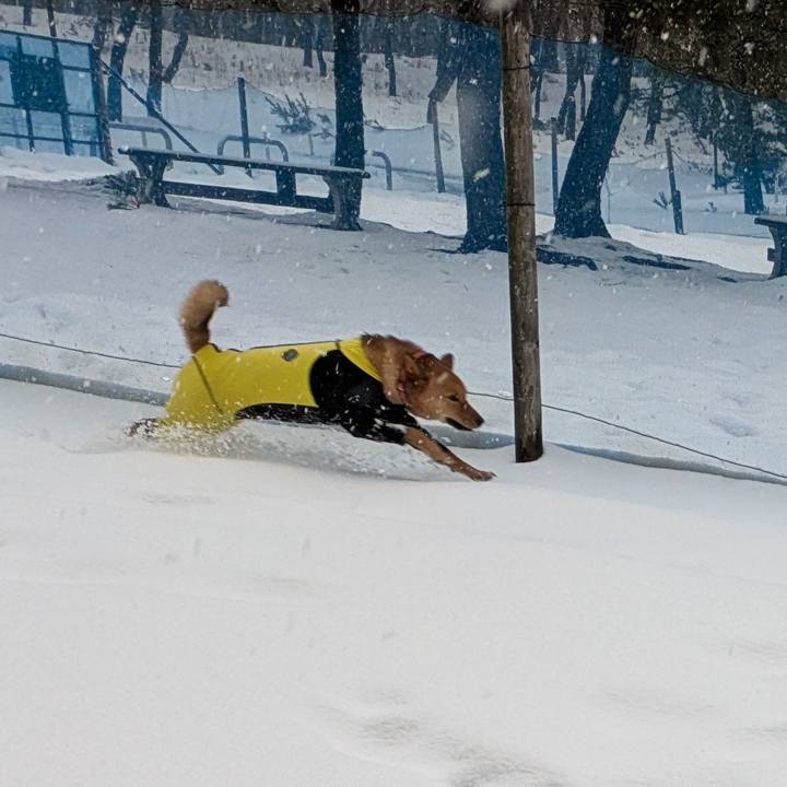 Be6800c4 969d 4be0 a2ae 011e029baff6 1770050107878