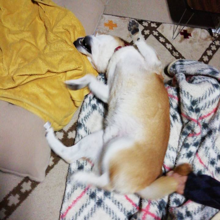 Be681354 ccdd 4c45 9216 f468add9fac6 1636709983249