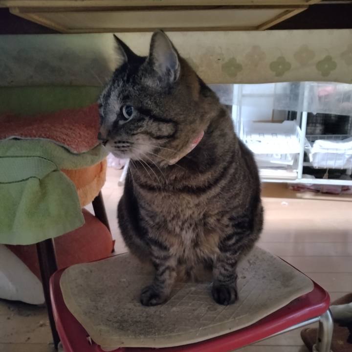 Be6815a3 45b5 4a72 9c1f 4b0294a9d1ff 1712873323206