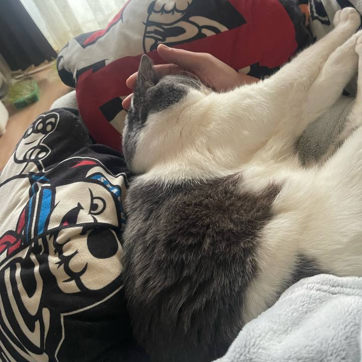 Be6830f7 48f2 4fcc 9d18 7c37ac35b752 1734675311449