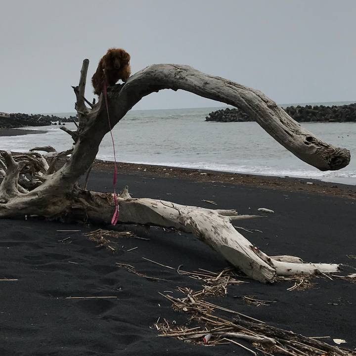 Be68354d 2bda 479b 902f 4ff824756093 1525586591432