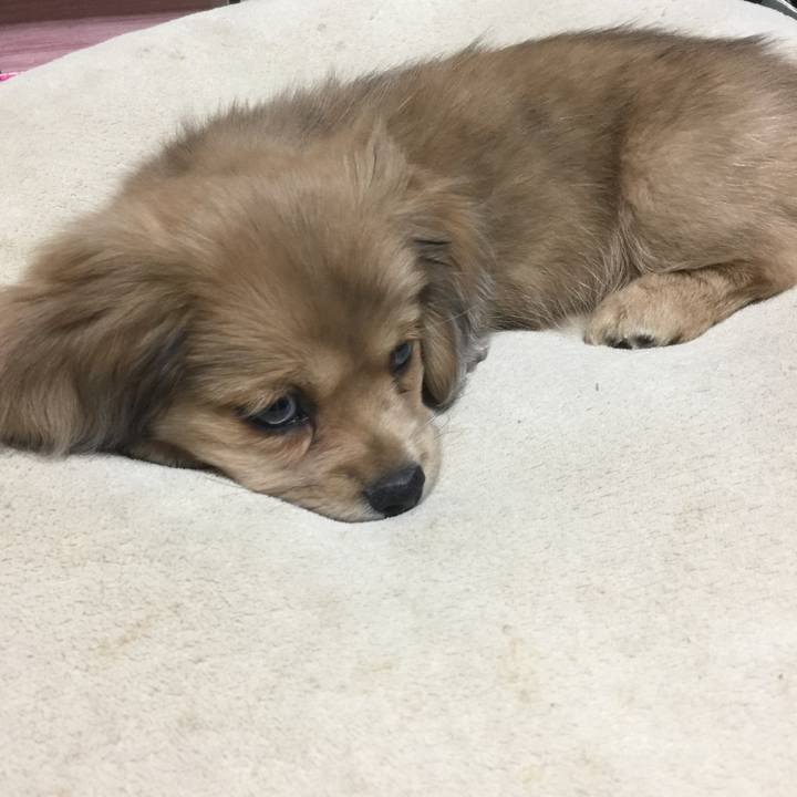 Be683e31 79ee 4252 9a80 13d903575eaf 1630024713738