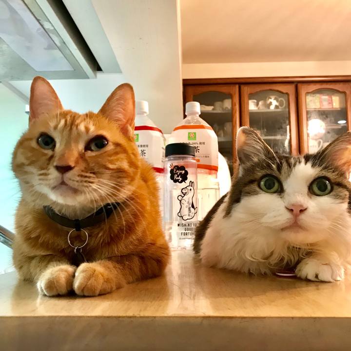 Be688f78 648c 49df ad0b 0bbae1774b4b 1568471257959