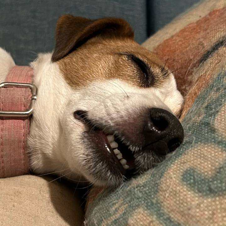 Be68f7be 8e54 4682 8a1f d1db3ff914ed 1772545709826