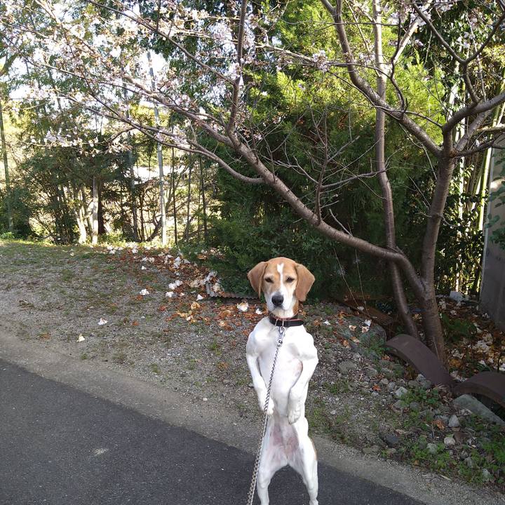 Be6908b8 aa11 4691 a774 7c84406adeb7 1648366840362