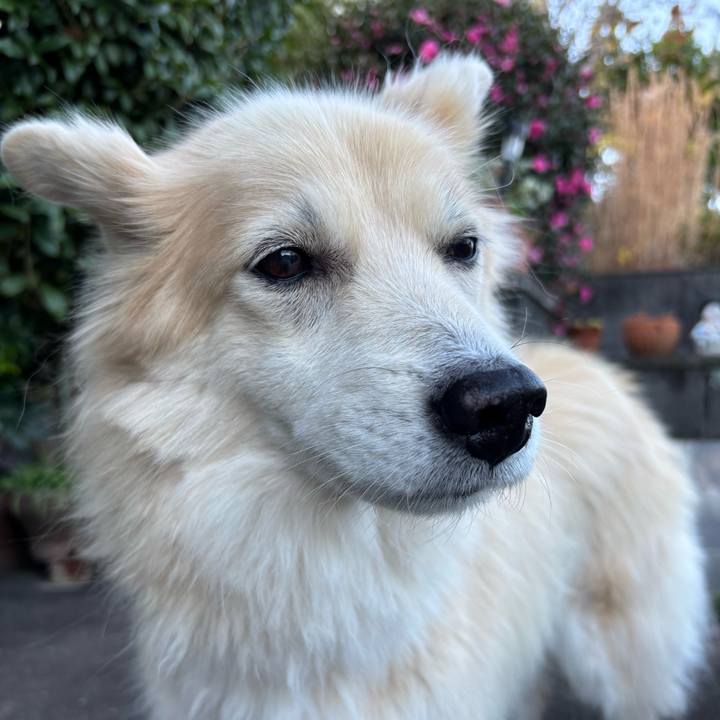 Be692017 3ef7 4e5a 9c16 f21c69530f8e 1765526793796