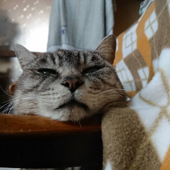 Be6993d9 4831 4c5c aa29 80538f299715 1552806551122