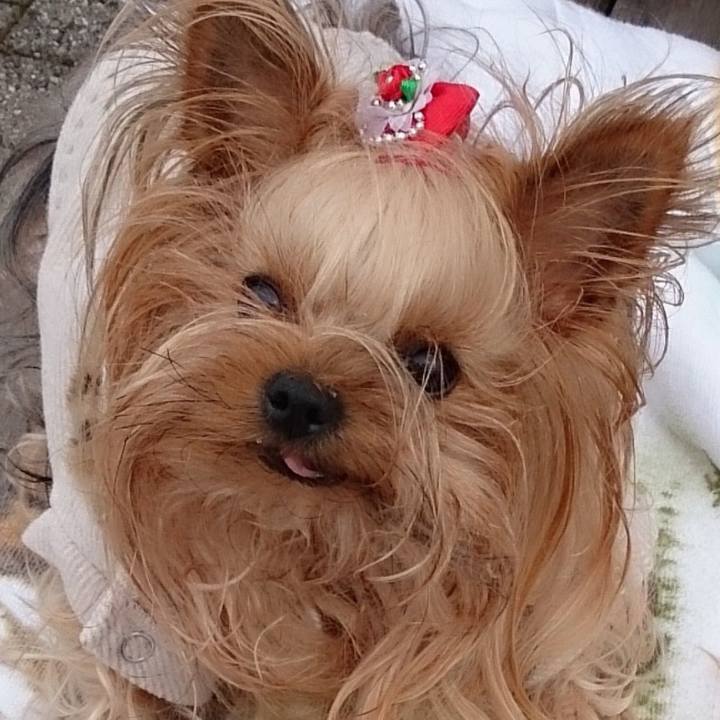 Be69ed52 06b7 4bb3 a558 6ac7a8ef5f2a 1573199654640