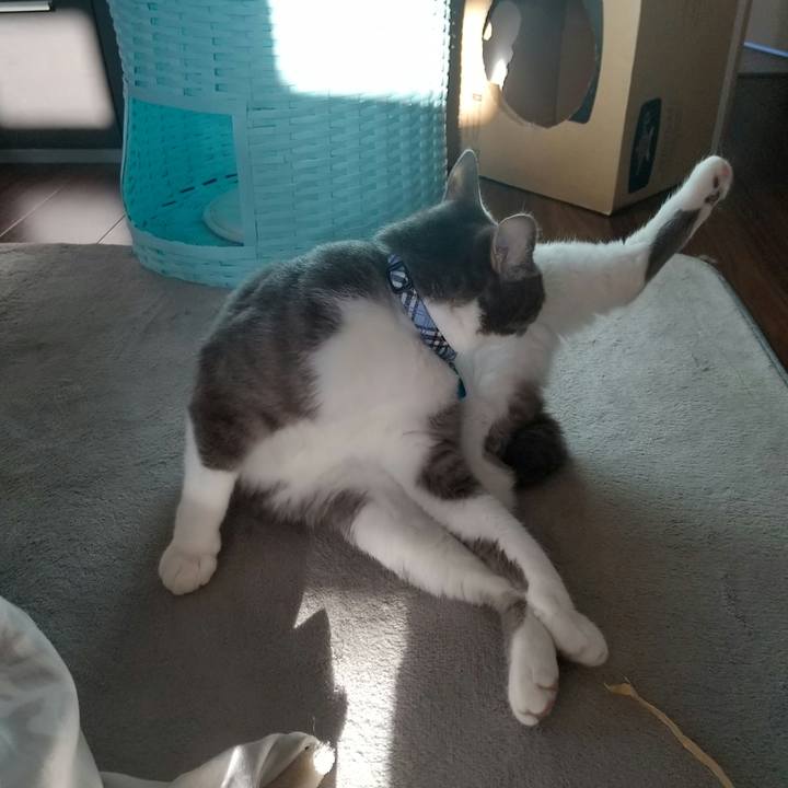 Be6a4c50 45b3 4c7d b4b8 f2425457e100 1616454903663