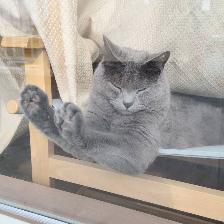 Be6a5519 58be 4bc7 84b8 9db021d6f4cf 1601334939223