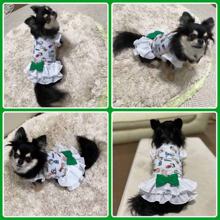 Be6a859e 8947 4e3f ba8d ac8d81ccca0e 1660437854580