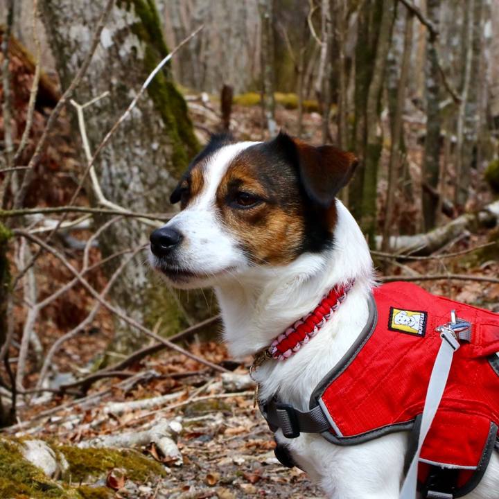 Be6a9e09 c548 44d0 9053 7d3a9c0a7605 1552126318122