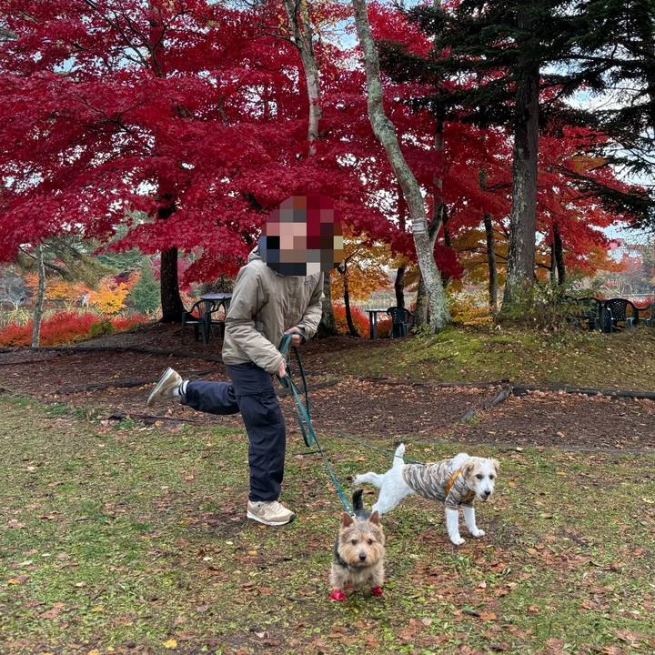 Be6ab498 d96b 4604 9a08 72734af32a4f 1762869621425