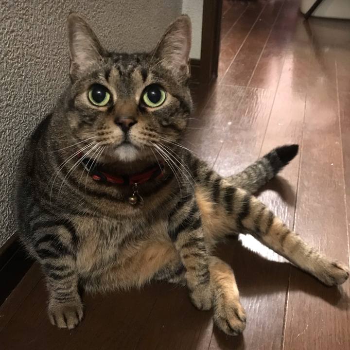 Be6ad0a1 a413 4f8b bae4 572845f35cea 1624626176935