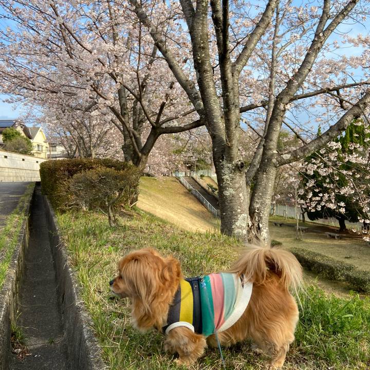 Be6b4e55 4d3c 4f9d 8fc5 091d790b1567 1616800105374