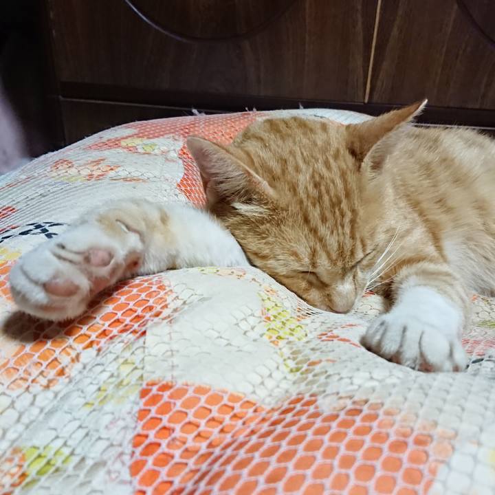 Be6b64c4 cd73 4090 b883 202fd787ed35 1561466501677