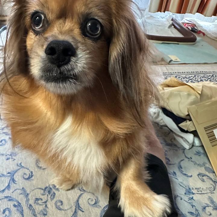 Be6b6ea4 7832 4f45 8ab9 f9b44f6c8f96 1728508761017