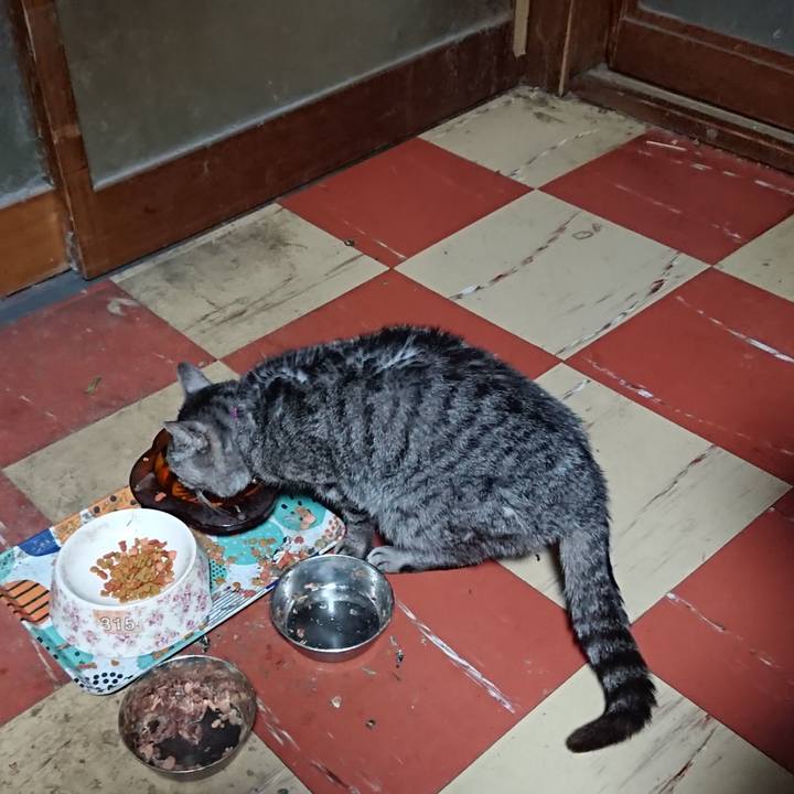 Be6be6ae 59f7 48c7 a8ed c725a56c1679 1584390995923