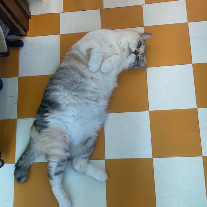 Be6bf9b9 3c62 450d bdf4 8e3e79c08f79 1753058382703