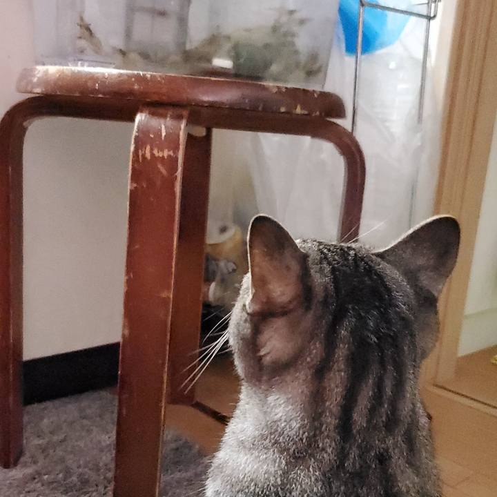 Be6c03fa c8f8 4383 9c0b ff5fd3120ea1 1694438672647