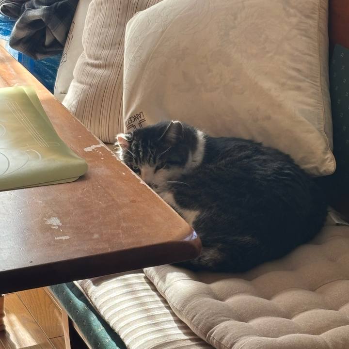 Be6c09e8 995a 45aa 8859 968abea75d64 1738829488058