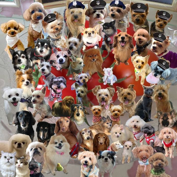 Be6c4877 e075 40e3 9578 a0744d1bd429 1656162565973