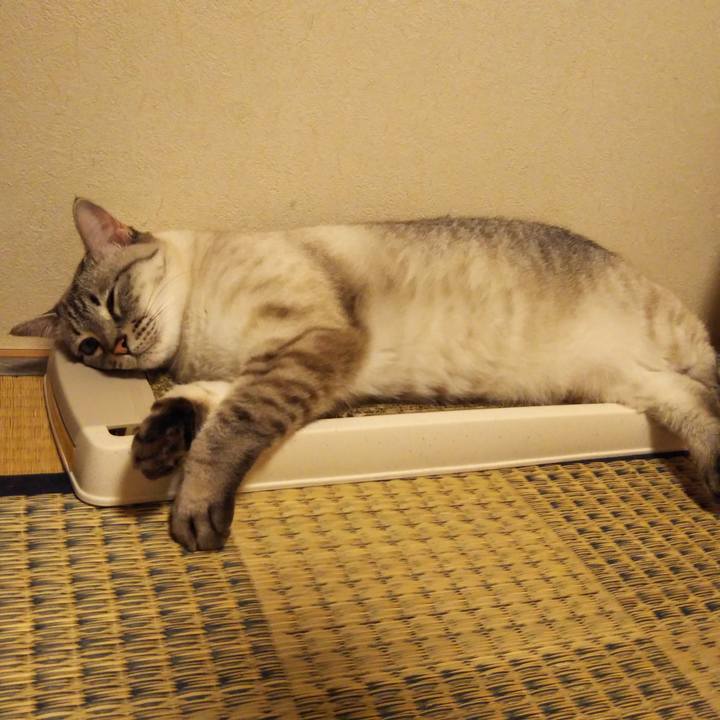 Be6d3ac3 f732 4393 aeca a9a4be309144 1531318949197