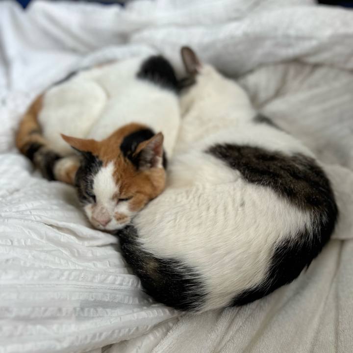 Be6d3bca c67c 4cf5 bd55 3525de6a0ddd 1721345587956