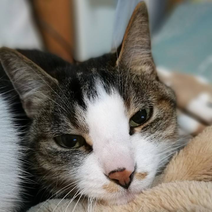 Be6d3cf4 fb3a 4356 875c 0f925a1daf4d 1557058041535