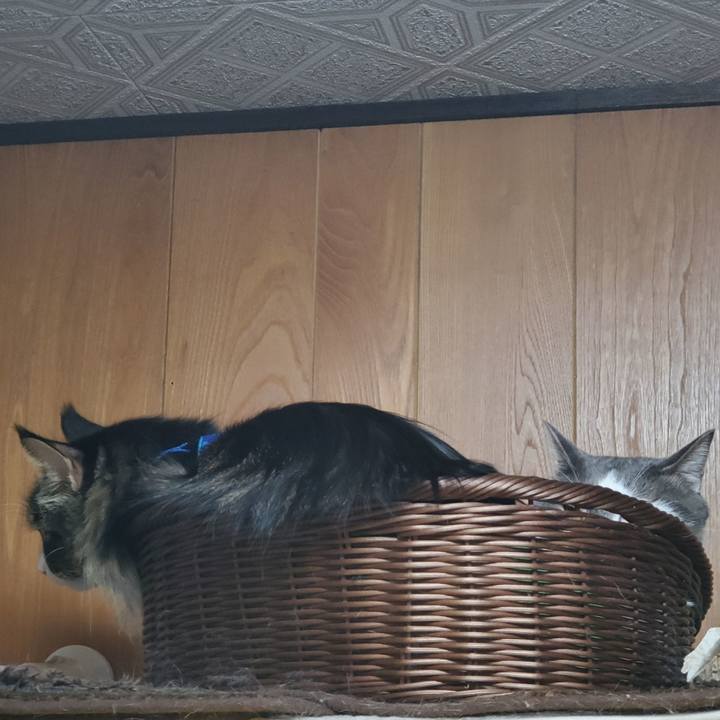 Be6d5050 a156 4ee6 b00c 43395ef7d996 1732860142553