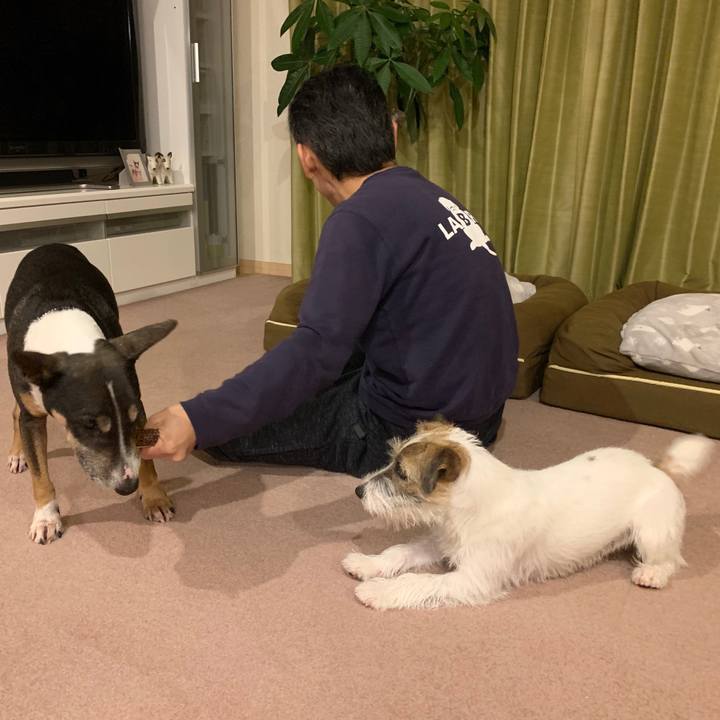 Be6d566a 3702 4fc6 a7b0 6211796ae3d2 1575027805479