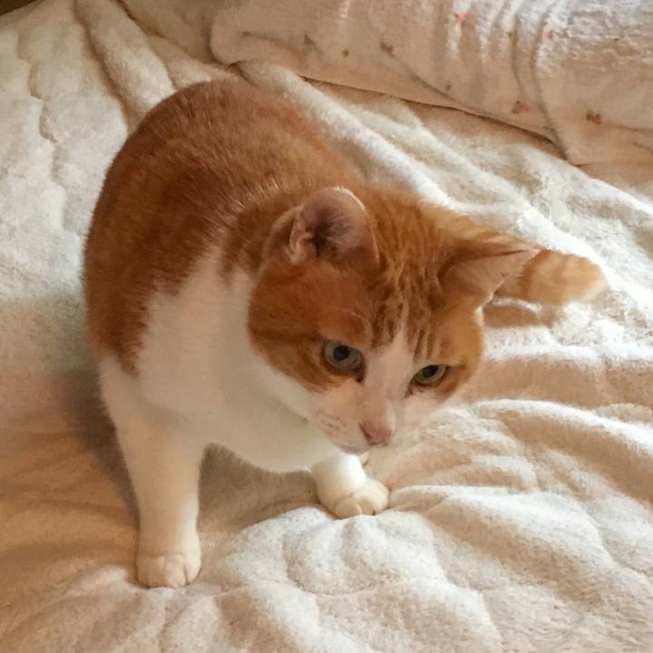 Be6d6a1a ea3e 4a7f 87f3 6a7c80b56dcc 1554099441489