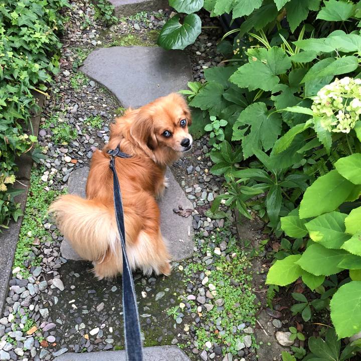 Be6d8de8 f2bc 4e47 9734 f8b916f51c71 1531344833281