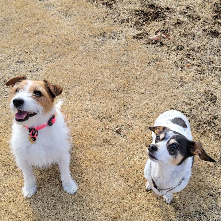 Be6e24d6 115b 451f 8abf 66b28d262df2 1647765217965