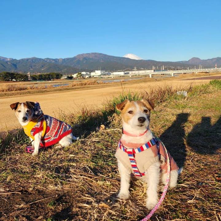 Be6e6707 247b 418b a177 a6e378972a28 1737855240862