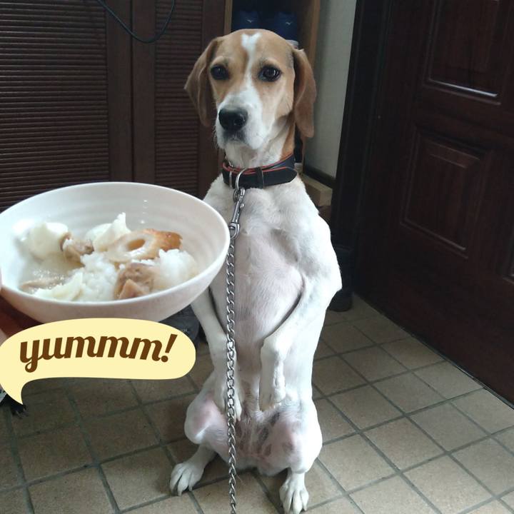 Be6e690d a931 42ff b448 2491277b01f0 1631249503801