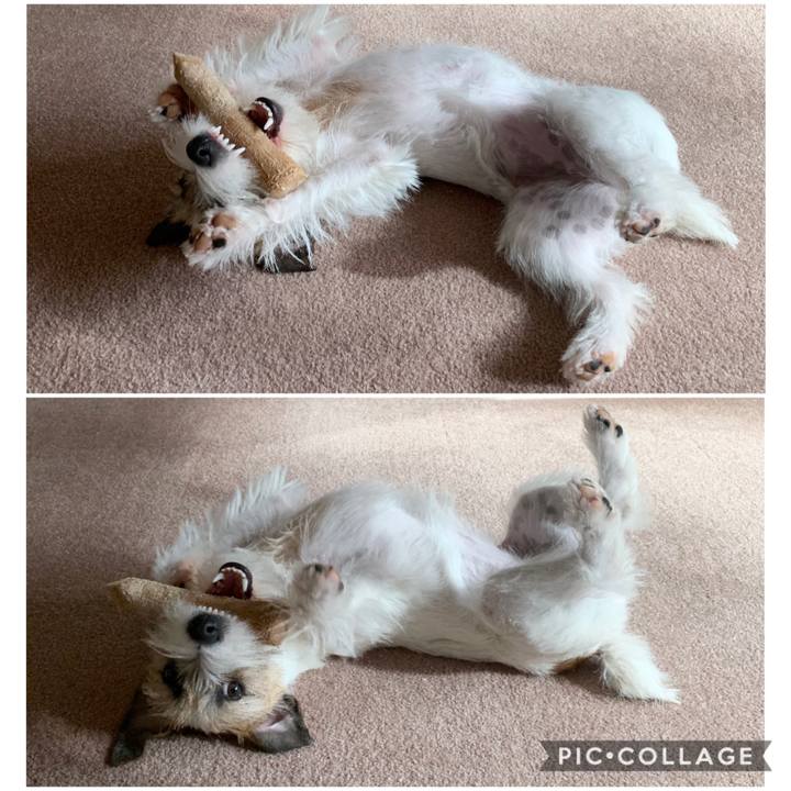 Be6ea460 9409 4b2b aa5e eb4d2a2176ee 1579842044804