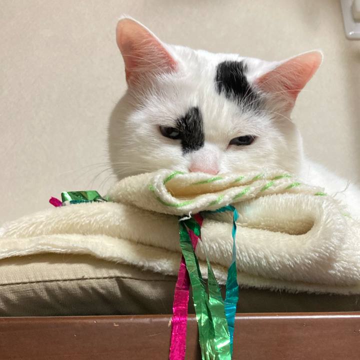 Be6ee398 04a0 4b95 86cc b70b24585a1c 1766626614438