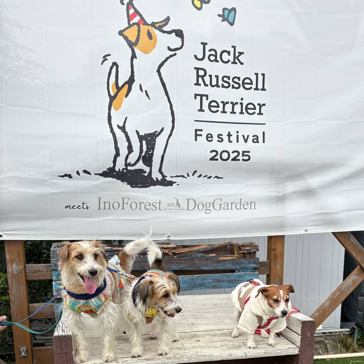 Be6f1bed 0558 4ba5 b5b6 6356c8a32c11 1763894363364