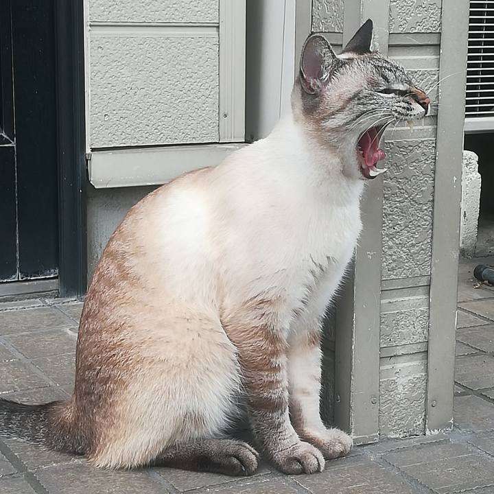 Be6f1cd1 d3fa 4a9e a691 090f60cc25f9 1537154060517