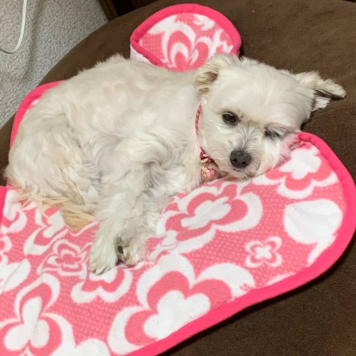 Be6f204e d152 451e 95ae ecc7a144b00c 1576754466162