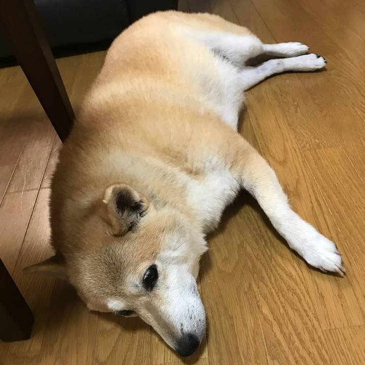 Be6f3424 2c14 40a9 b900 f17de76d0ca0 1535334572338